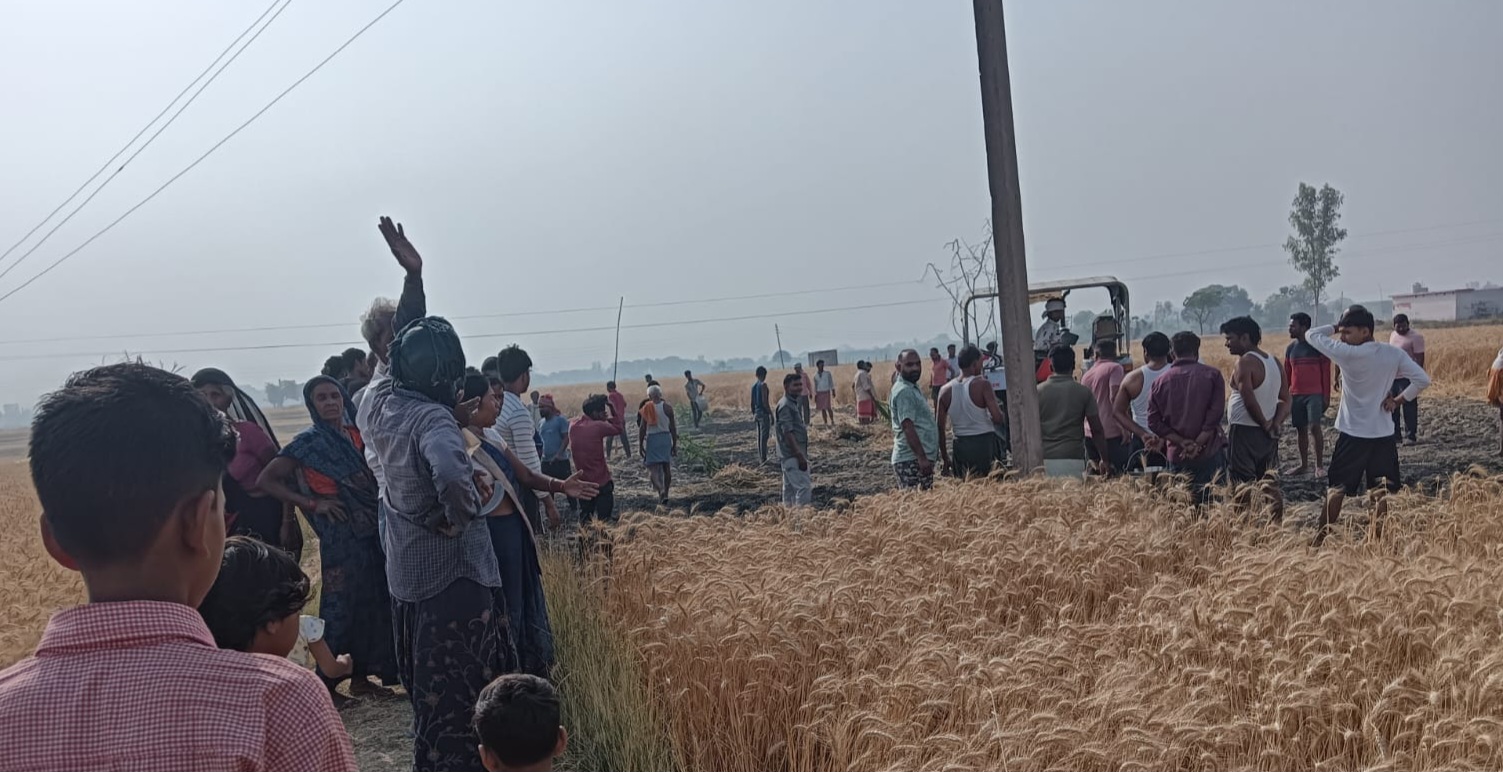 शॉर्ट सर्किट से गेहूं की फसल में लगी आग